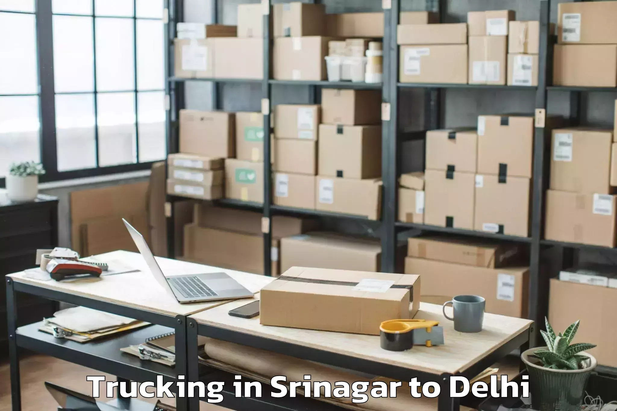 Trusted Srinagar to Unity One Mall Janakpuri Trucking